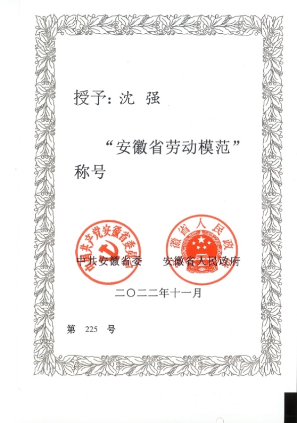 沈强-证书照1_副本