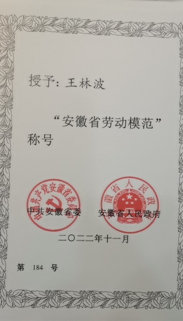 王林波-证书照_副本